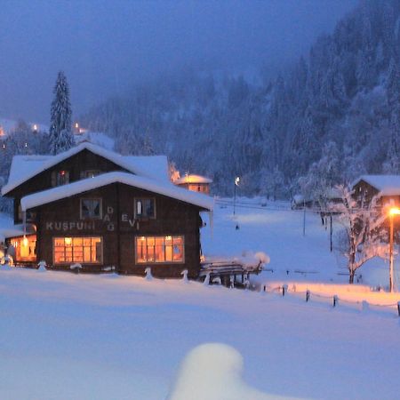 Kuspuni Dag Evi Villa Çamlıhemşin Exteriör bild