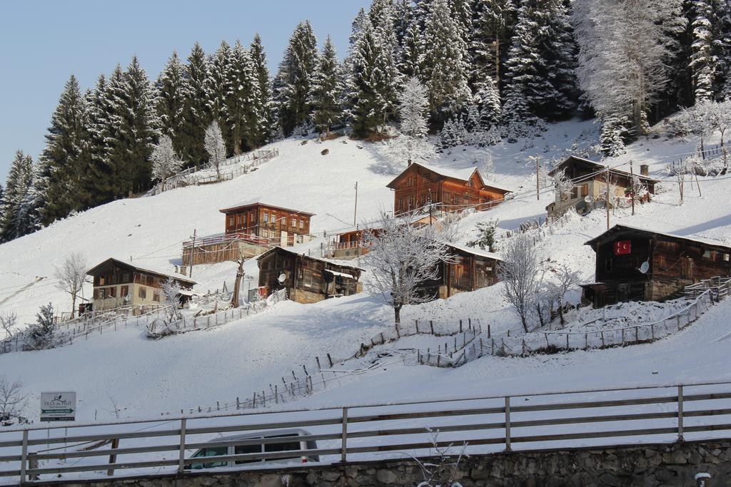 Kuspuni Dag Evi Villa Çamlıhemşin Exteriör bild