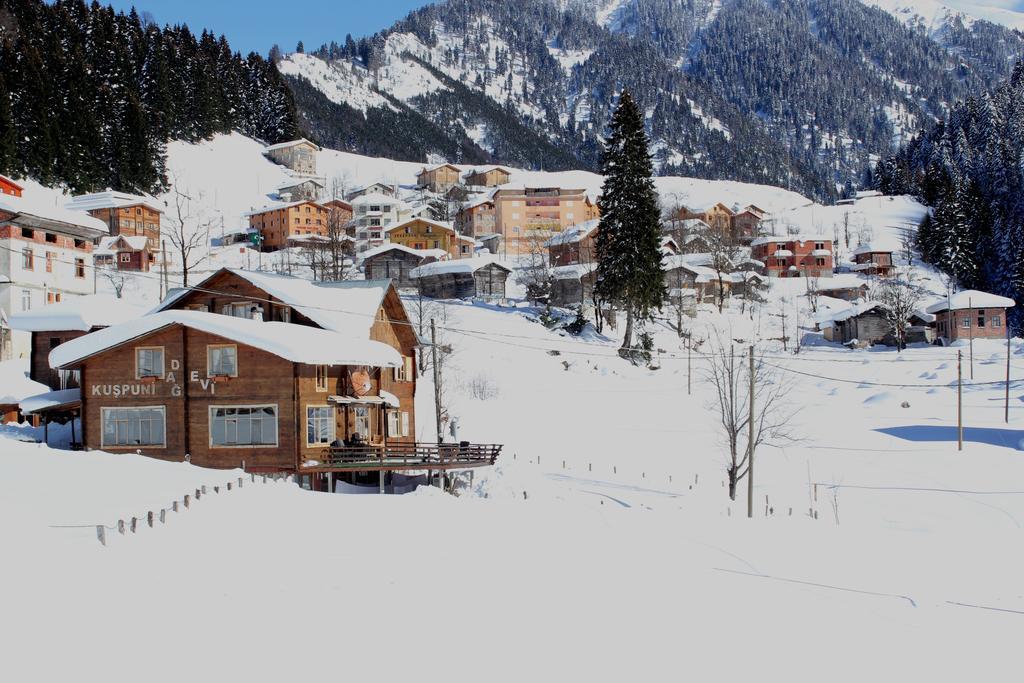 Kuspuni Dag Evi Villa Çamlıhemşin Exteriör bild