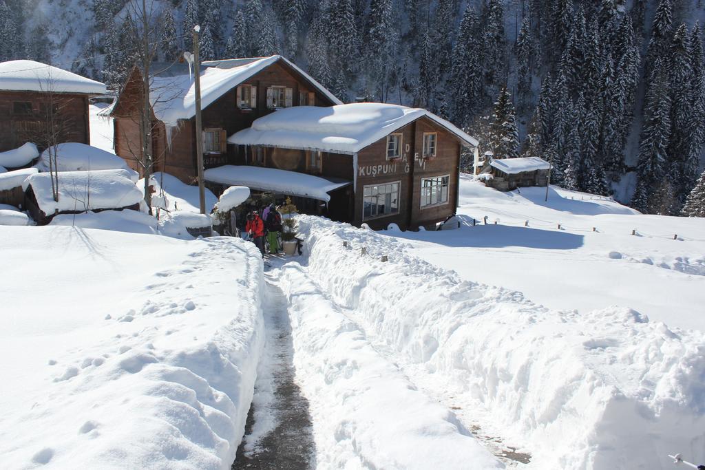 Kuspuni Dag Evi Villa Çamlıhemşin Exteriör bild