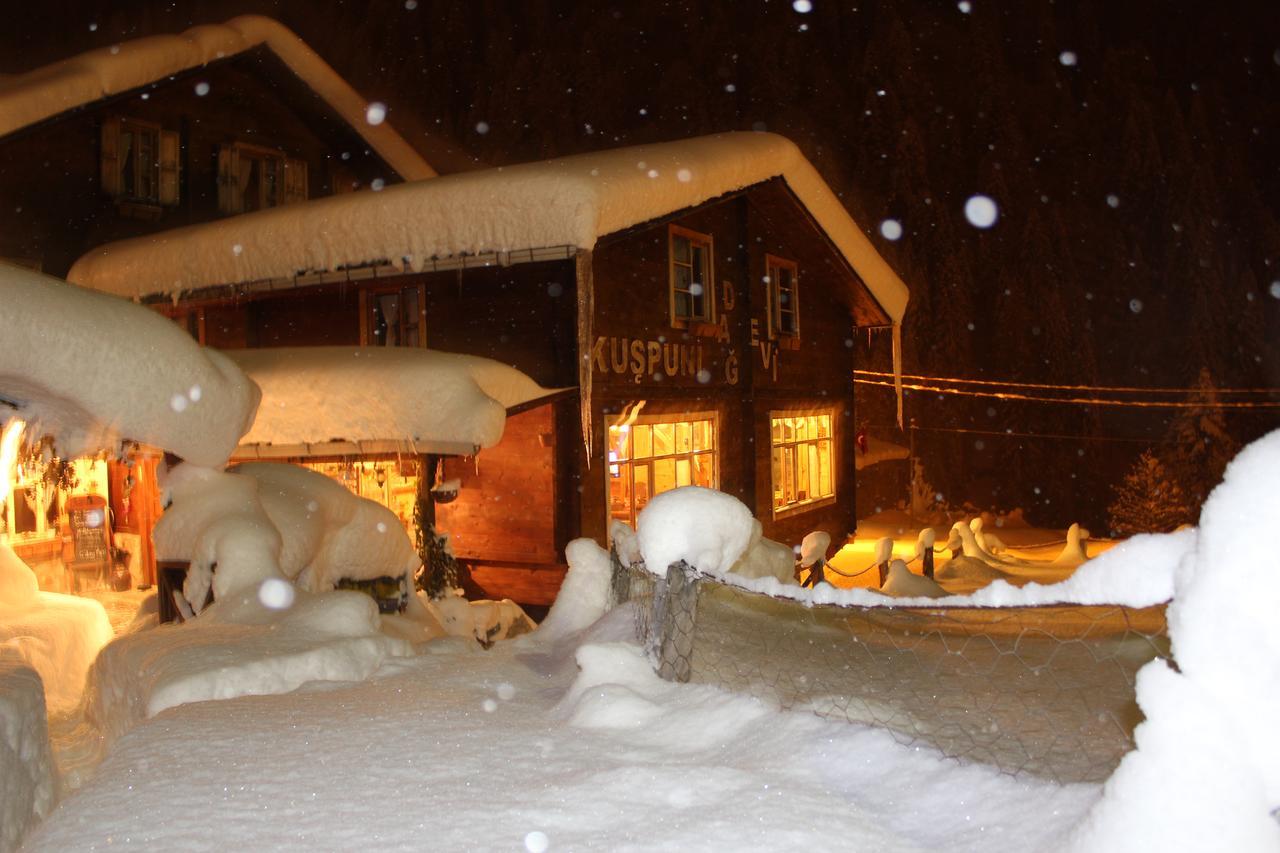 Kuspuni Dag Evi Villa Çamlıhemşin Exteriör bild